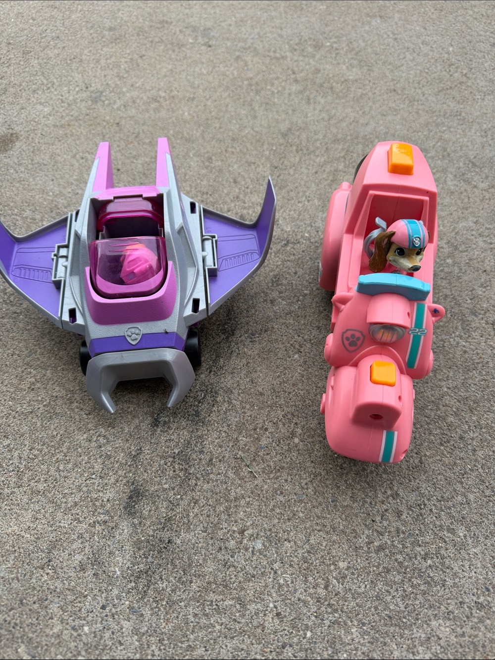 Paw Patrol sky and liberty